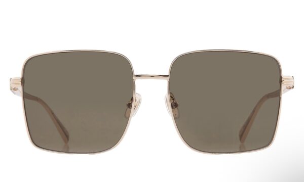 Ferragamo Ladies Square Sunglasses